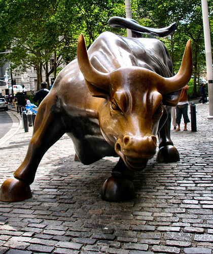 stock market bulls