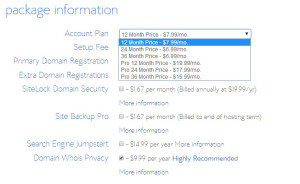 bluehost-package-info