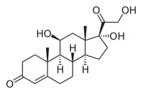 Fear is Just a Chemical