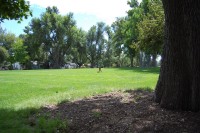 Little MM tests out the public park that will be our new back yard!