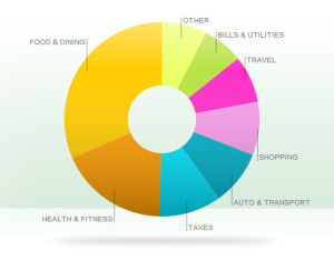 2013-exposed-all-categories-piechart