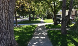 The shady sidewalks of Old-Town