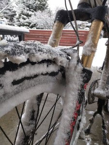 snowforks