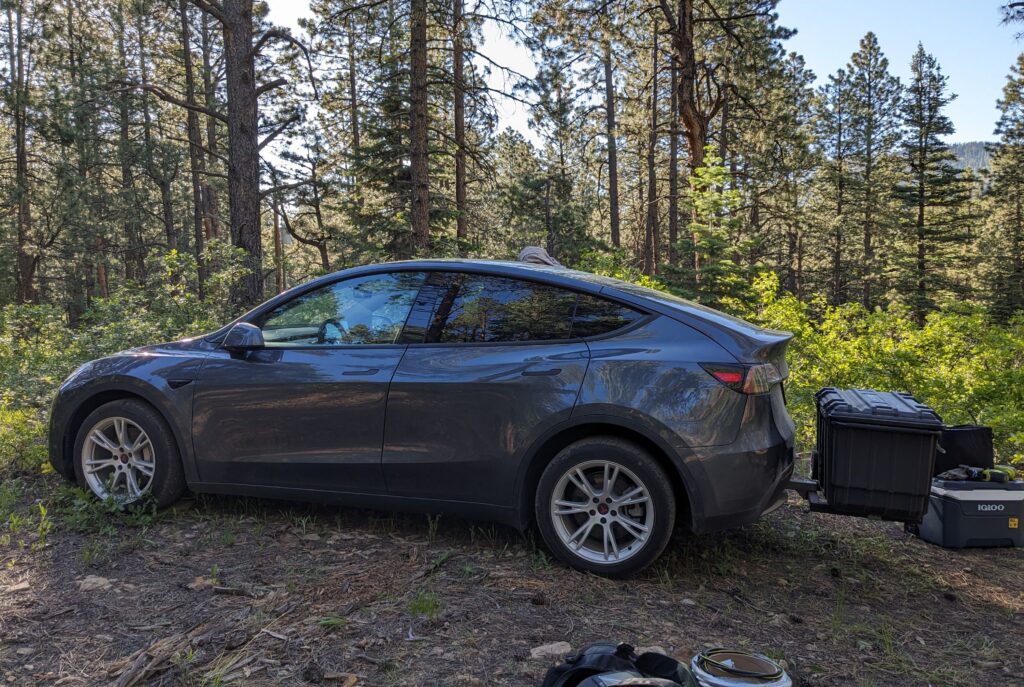 2023 Tesla Model Y Performance wait time grows - Drive